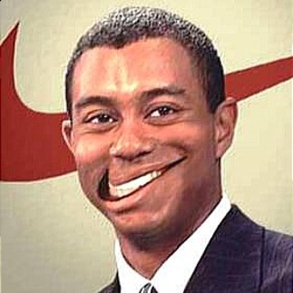 Salesman Professional.