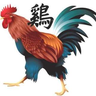 Ayam